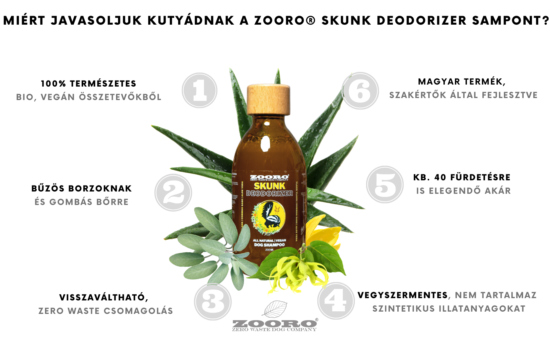 természetes kutyasampon büdös kutyáknak